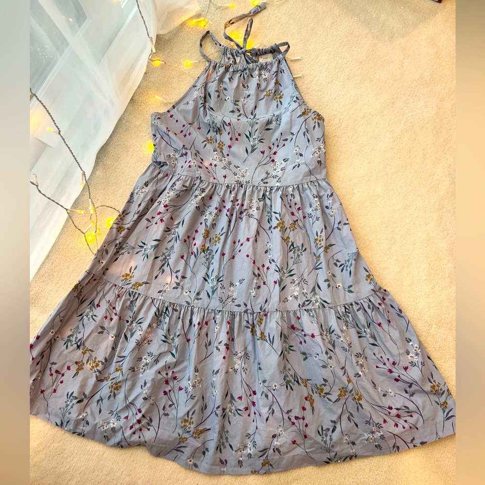 BNWOT Anthropologie Floral Blue Sleeveless Summer Ruffle Dress